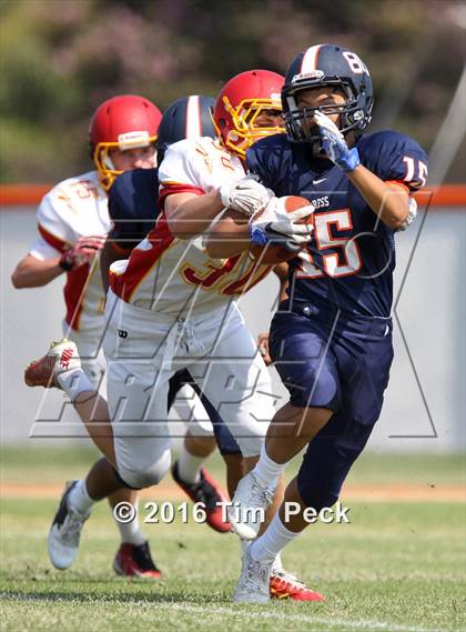 Thumbnail 2 in Woodbridge @ Cypress photogallery.