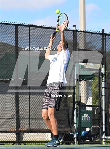 Thumbnail 1 in Jesuit vs Willow photogallery.