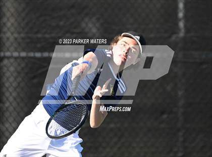 Thumbnail 1 in Jesuit vs Willow photogallery.