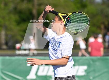 Thumbnail 1 in Jesuit vs Willow photogallery.