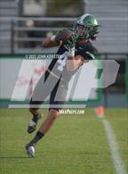 Photo from the gallery "Naples @ Venice"