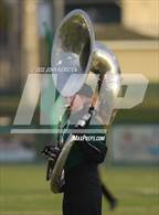 Photo from the gallery "Naples @ Venice"