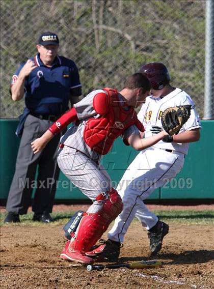 Thumbnail 1 in Purcell Marian @ Turpin photogallery.