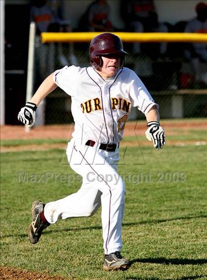Thumbnail 1 in Purcell Marian @ Turpin photogallery.