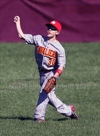 Thumbnail 3 in Purcell Marian @ Turpin photogallery.