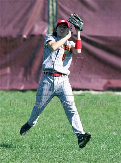 Thumbnail 3 in Purcell Marian @ Turpin photogallery.