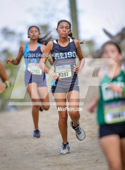 Thumbnail 2 in Mt SAC Invitational (Division 1 - Race 71)  photogallery.
