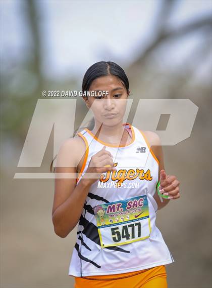 Thumbnail 2 in Mt SAC Invitational (Division 1 - Race 71)  photogallery.