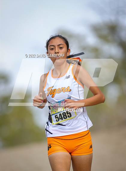 Thumbnail 1 in Mt SAC Invitational (Division 1 - Race 71)  photogallery.