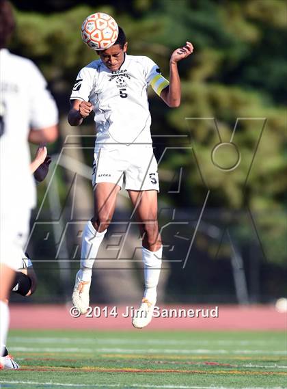 Thumbnail 1 in New Rochelle @ White Plains photogallery.