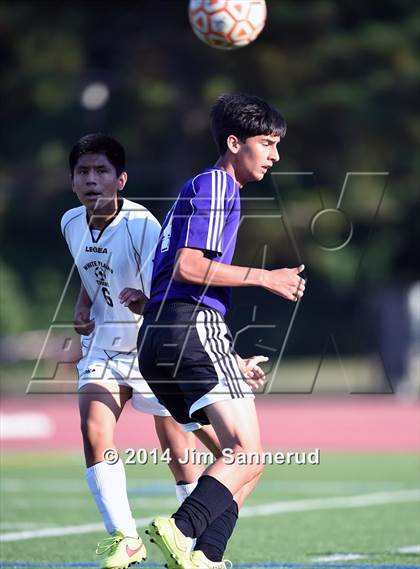 Thumbnail 3 in New Rochelle @ White Plains photogallery.
