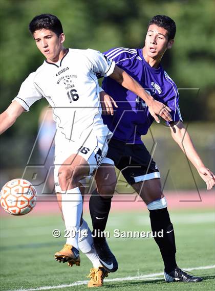 Thumbnail 3 in New Rochelle @ White Plains photogallery.