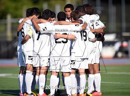 Thumbnail 2 in New Rochelle @ White Plains photogallery.