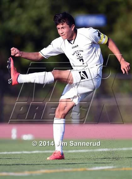Thumbnail 2 in New Rochelle @ White Plains photogallery.