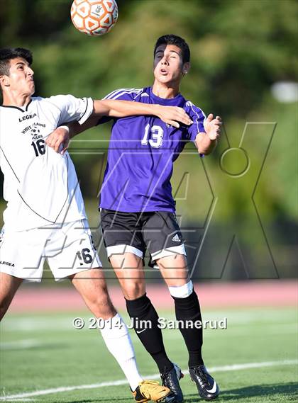 Thumbnail 3 in New Rochelle @ White Plains photogallery.