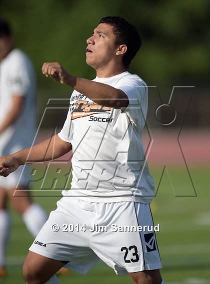 Thumbnail 2 in New Rochelle @ White Plains photogallery.