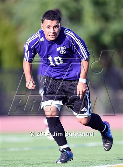 Thumbnail 1 in New Rochelle @ White Plains photogallery.