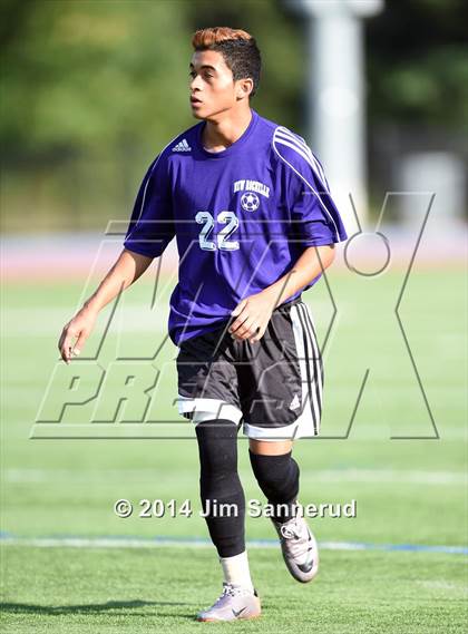 Thumbnail 1 in New Rochelle @ White Plains photogallery.