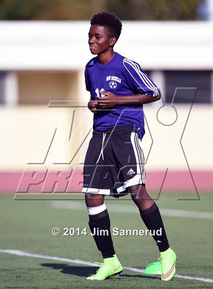 Thumbnail 2 in New Rochelle @ White Plains photogallery.