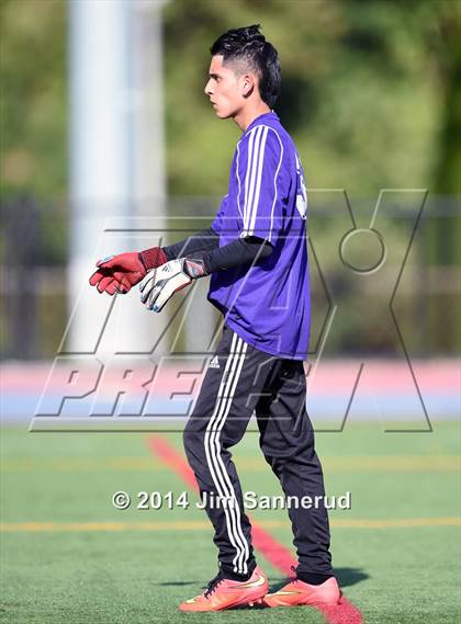 Thumbnail 3 in New Rochelle @ White Plains photogallery.