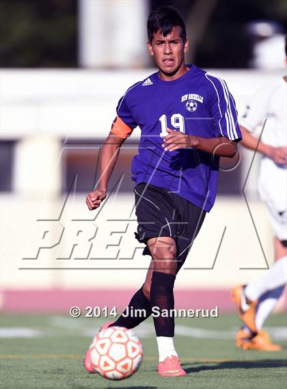 Thumbnail 2 in New Rochelle @ White Plains photogallery.