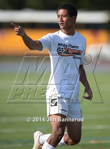 Thumbnail 1 in New Rochelle @ White Plains photogallery.