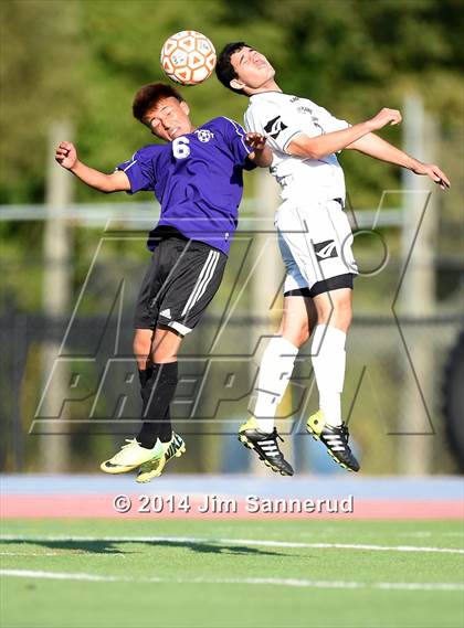 Thumbnail 3 in New Rochelle @ White Plains photogallery.