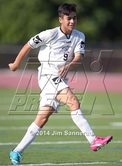 Thumbnail 1 in New Rochelle @ White Plains photogallery.