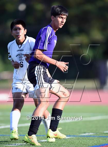Thumbnail 2 in New Rochelle @ White Plains photogallery.