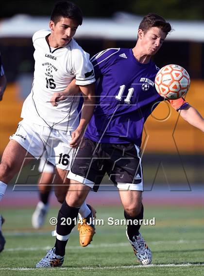 Thumbnail 1 in New Rochelle @ White Plains photogallery.