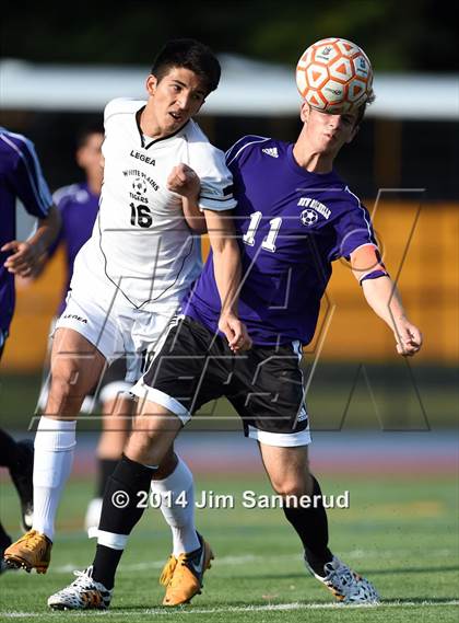 Thumbnail 3 in New Rochelle @ White Plains photogallery.