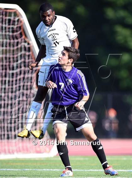 Thumbnail 3 in New Rochelle @ White Plains photogallery.