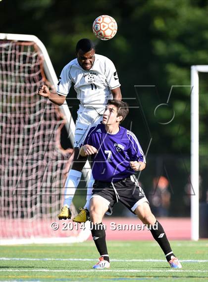 Thumbnail 2 in New Rochelle @ White Plains photogallery.