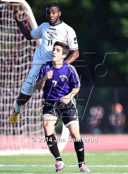 Thumbnail 2 in New Rochelle @ White Plains photogallery.