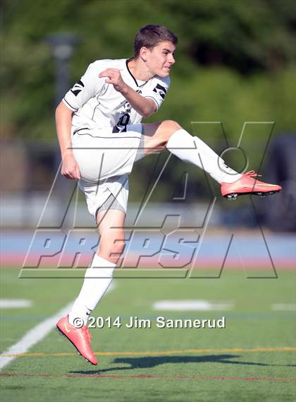 Thumbnail 3 in New Rochelle @ White Plains photogallery.
