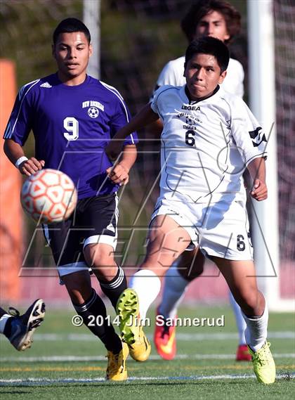 Thumbnail 2 in New Rochelle @ White Plains photogallery.