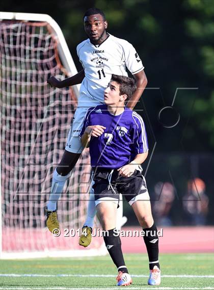 Thumbnail 1 in New Rochelle @ White Plains photogallery.