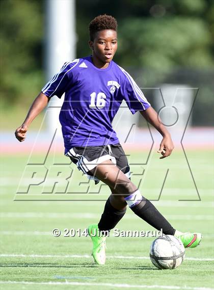 Thumbnail 1 in New Rochelle @ White Plains photogallery.