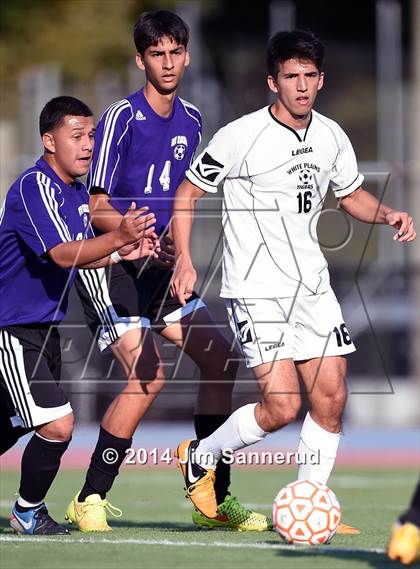Thumbnail 1 in New Rochelle @ White Plains photogallery.