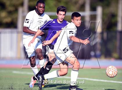 Thumbnail 1 in New Rochelle @ White Plains photogallery.