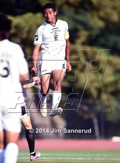 Thumbnail 2 in New Rochelle @ White Plains photogallery.