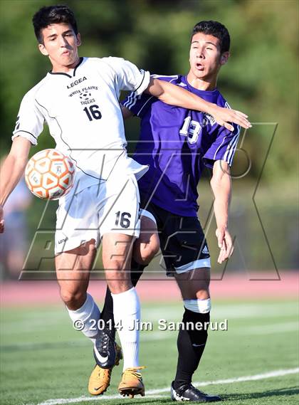 Thumbnail 2 in New Rochelle @ White Plains photogallery.