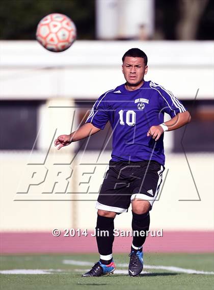 Thumbnail 2 in New Rochelle @ White Plains photogallery.