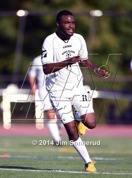 Thumbnail 2 in New Rochelle @ White Plains photogallery.