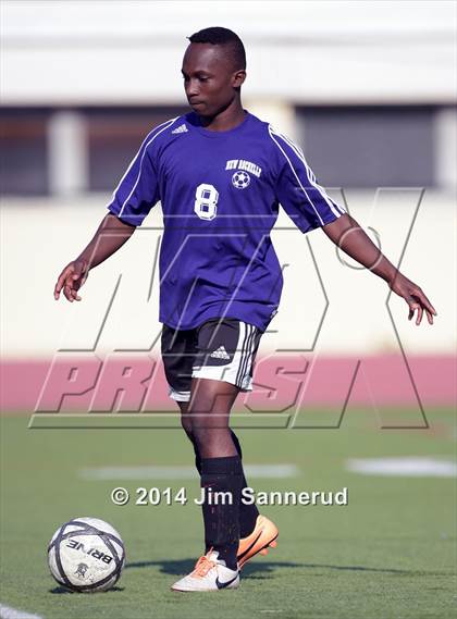 Thumbnail 2 in New Rochelle @ White Plains photogallery.