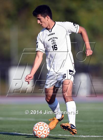 Thumbnail 2 in New Rochelle @ White Plains photogallery.