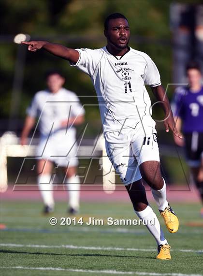 Thumbnail 1 in New Rochelle @ White Plains photogallery.