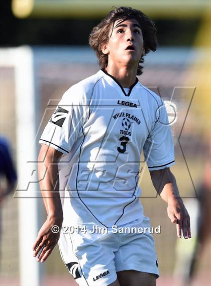 Thumbnail 3 in New Rochelle @ White Plains photogallery.