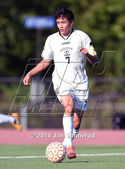 Thumbnail 1 in New Rochelle @ White Plains photogallery.