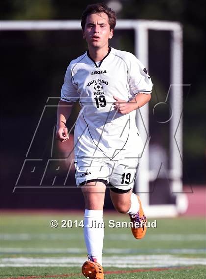 Thumbnail 2 in New Rochelle @ White Plains photogallery.